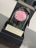 Ever Rose