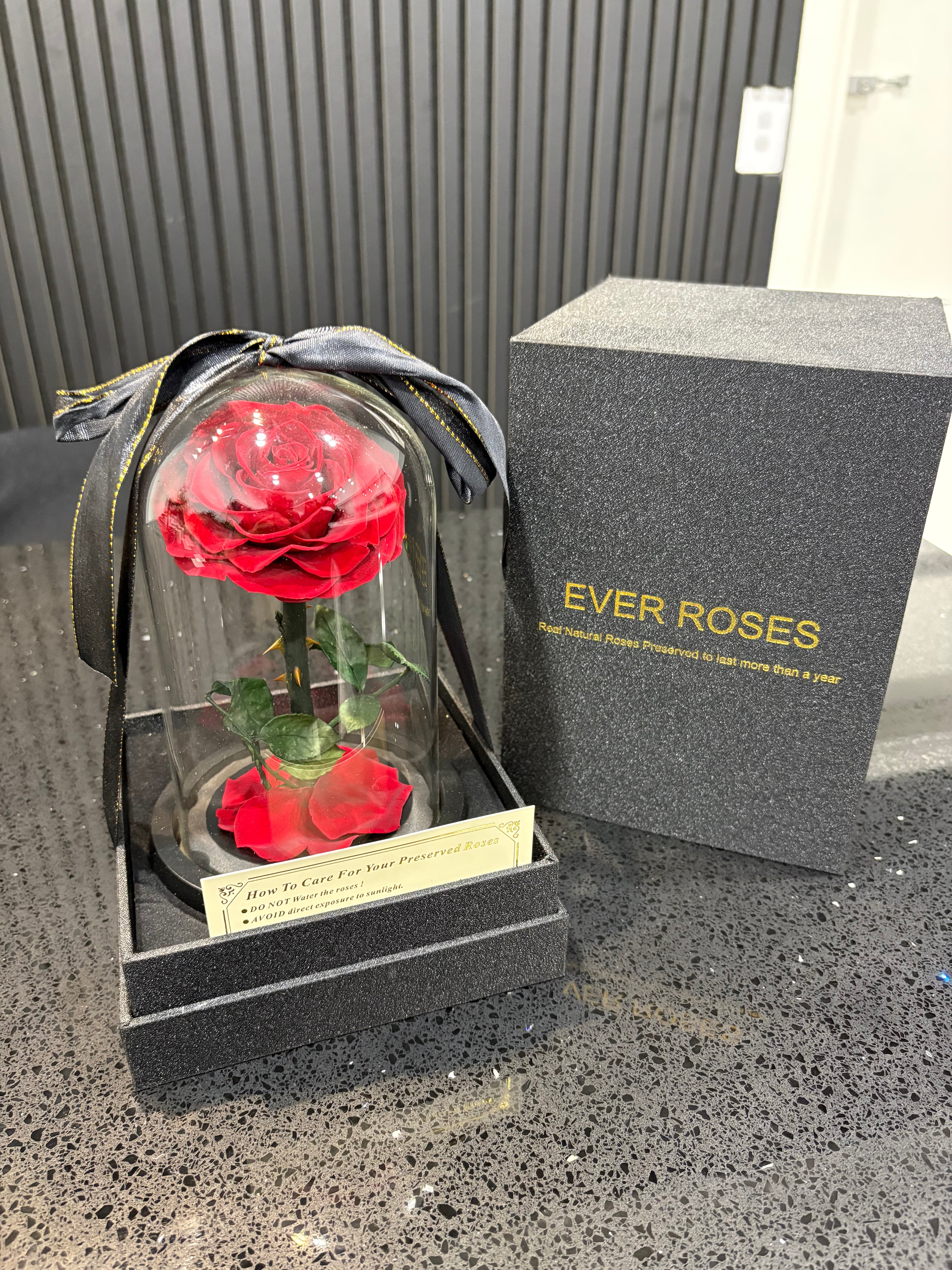Ever Rose